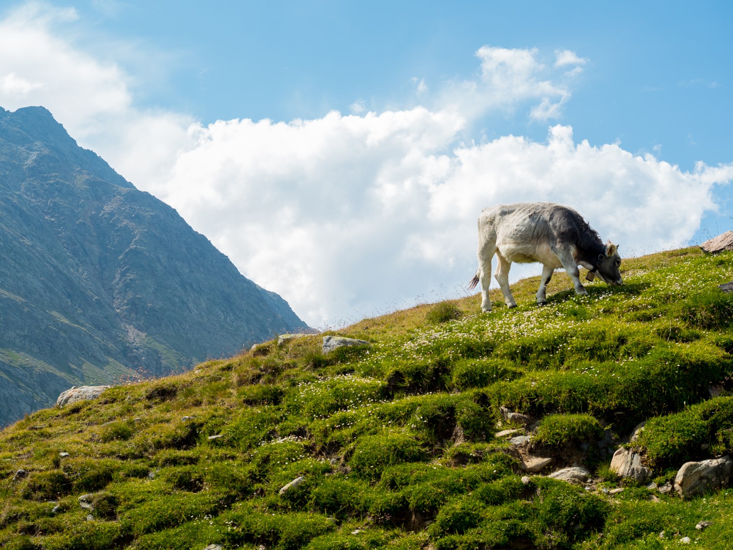 Timmelsjoch